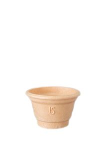 VASO
