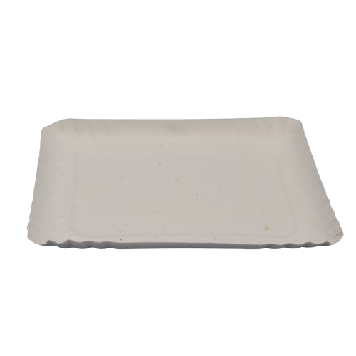 BANDEJA CARTON RECTANGULAR